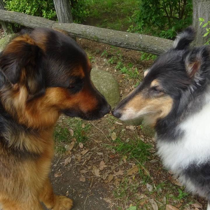 381293a4 6403 4930 a023 d1b32102f329 1590933688658