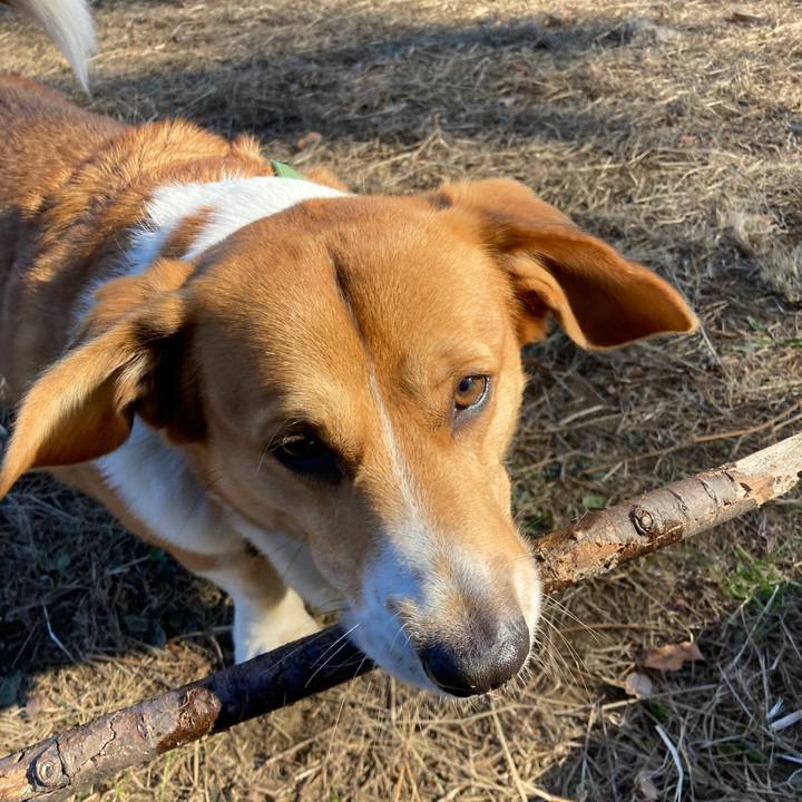 3812a715 a988 4083 8fe5 311db7a5bcfb 1734919332394