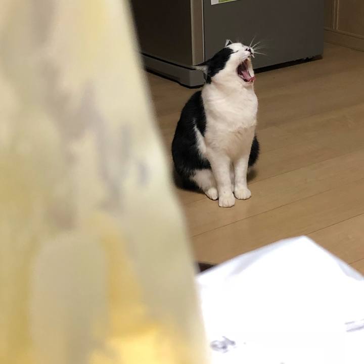 3812bce8 08a8 4d6b a643 ad114591d1a3 1549276868954