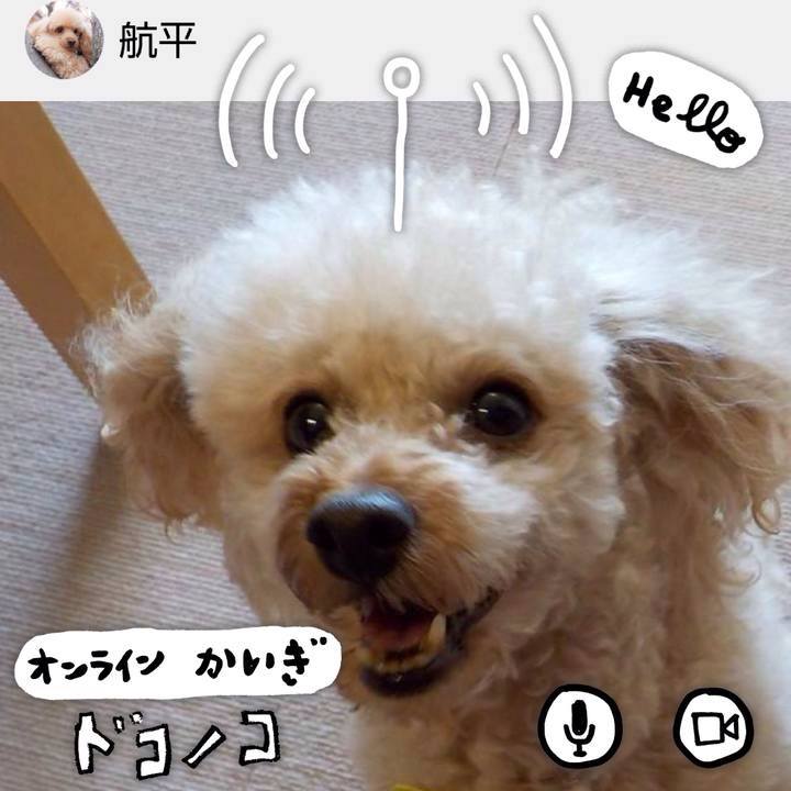 3812ccb1 bfda 40e9 9650 ebc1f1e360ad 1590757165146