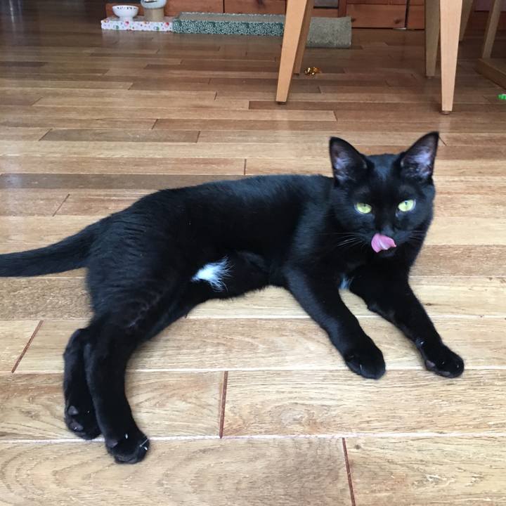 3812e123 c6dd 41be 939b c30a82cf560a 1536150081695