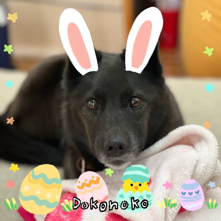 3812e310 1705 4a0c 852d dedb6c76c304 1712393393161