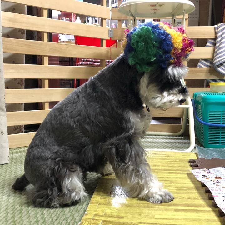 3812e943 0bb3 4b98 87a8 27a4219c84cc 1537957702729