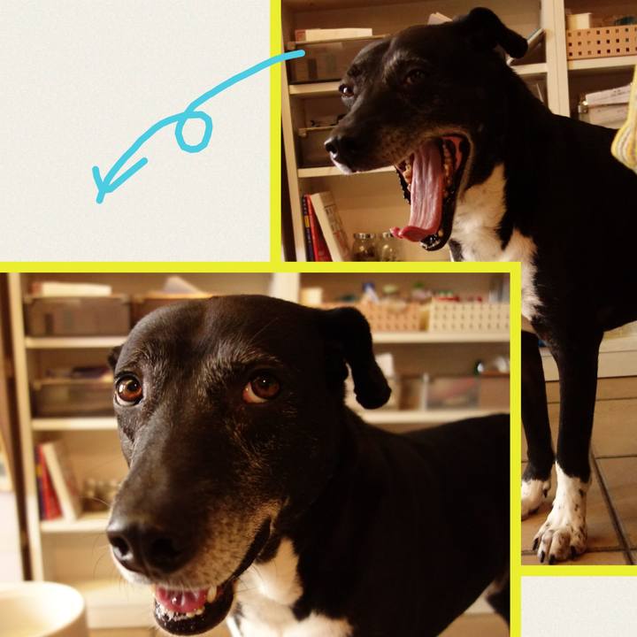 38130291 2819 46f3 bb1b 7f48cbdf7bbb 1749171267279