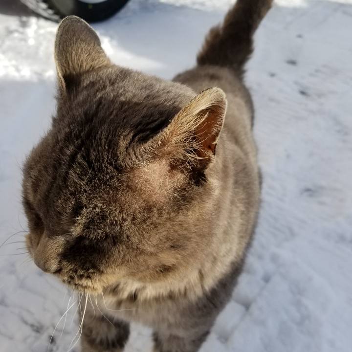 38130da2 e01e 4c99 bf26 aca7e4150e37 1546944950764