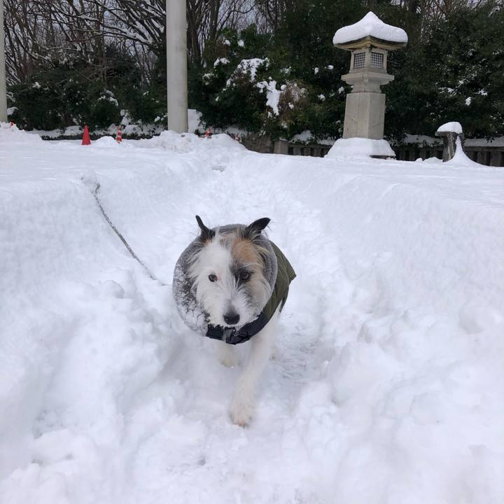 3813d492 cd30 4ba2 a5a8 66b04feb6899 1610408593156