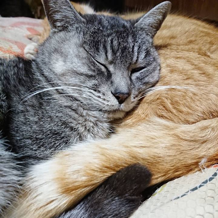 3813d814 e6d3 484d 8826 d3815812298e 1577450322281