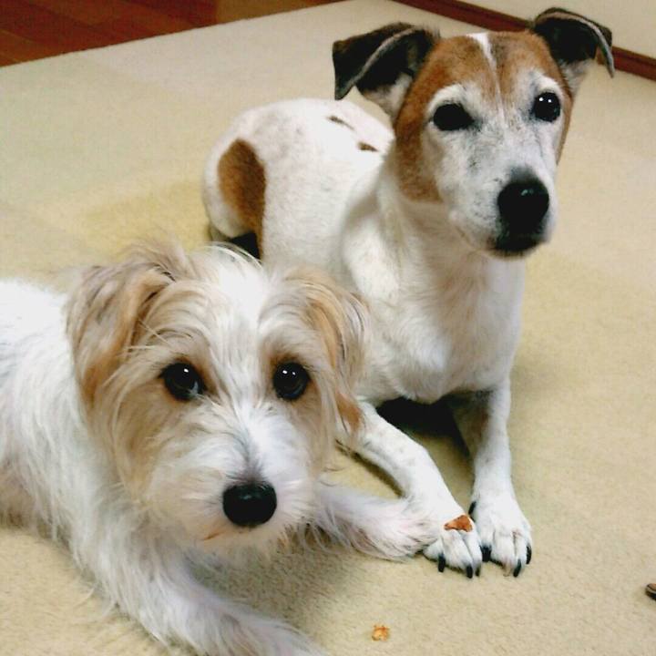 381427a2 5a05 4627 aea4 edc3187f8a23 1509282809173