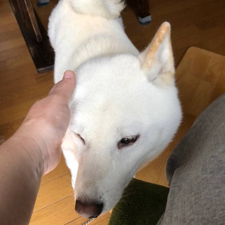 38142ac9 0643 44db 99c0 04bae2b8e254 1575070568411