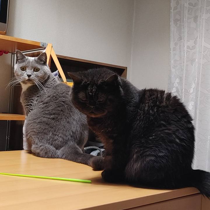 38143103 569b 4e19 8cfa b7f56b558d4e 1638223005447