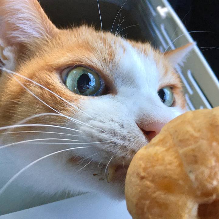 381454b9 f6a0 4cf6 959a 4fb23d26daa5 1571812867167