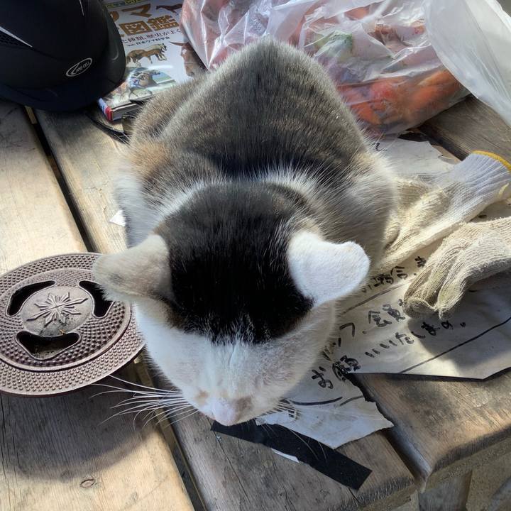 3814c58d 1ac7 432f ad3b f286f43cad44 1614486559720