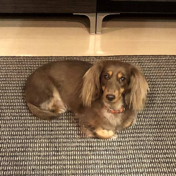 38151a01 e01b 476a a83a 784e0d2310f2 1573050042439