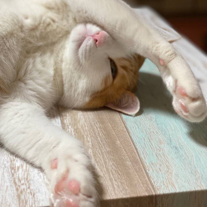 38155a46 da47 4b05 bee9 f79d183e72cf 1580037944818