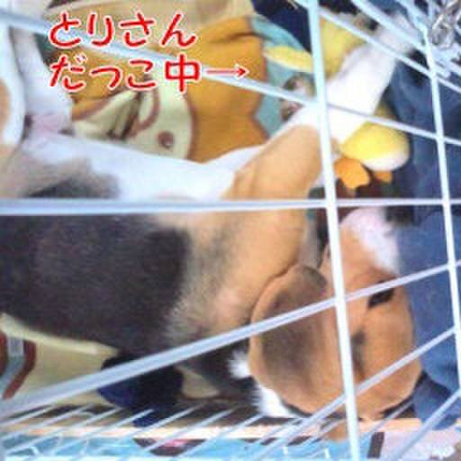 3815677a b4d0 4a13 a69c a34b0710349c 1681949363315