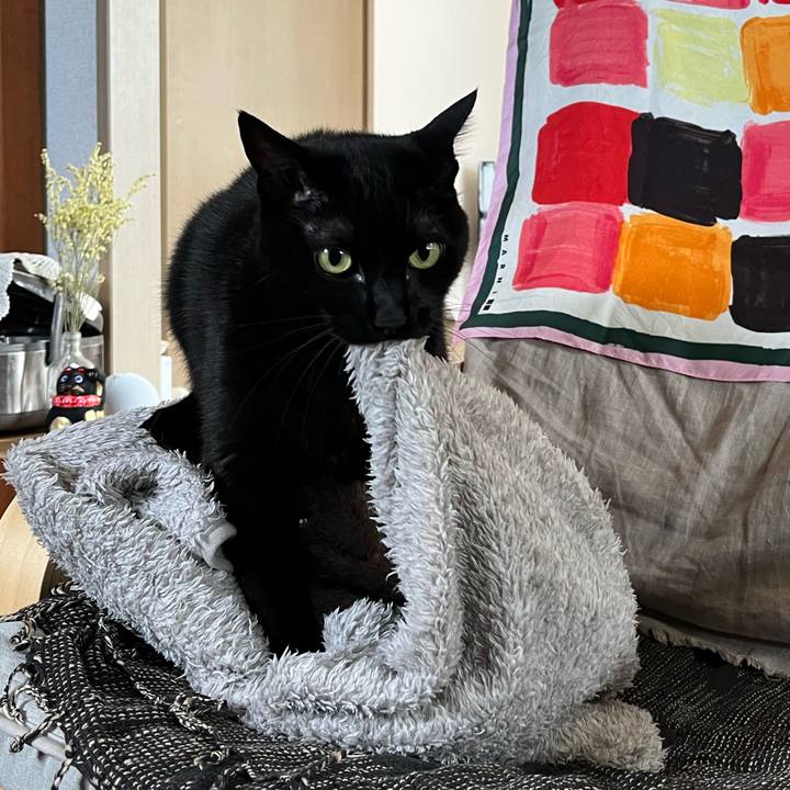 38157a5e ea55 4575 b228 6930f34f30a6 1697248977251