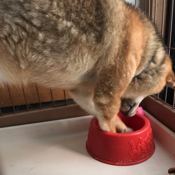 3815eb44 9ac9 4715 9c7a 252fad64cb81 1520982630207