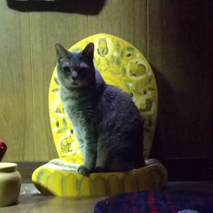 3815f5d7 a025 47e2 9ef8 1c8bf867b26c 1613828864014