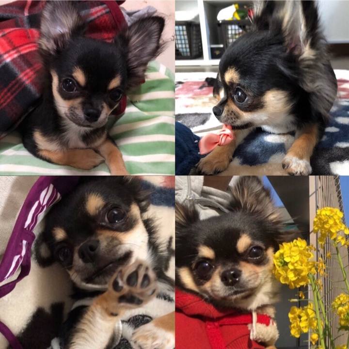 38163aff ee3b 4356 ac64 494231679447 1571211684766