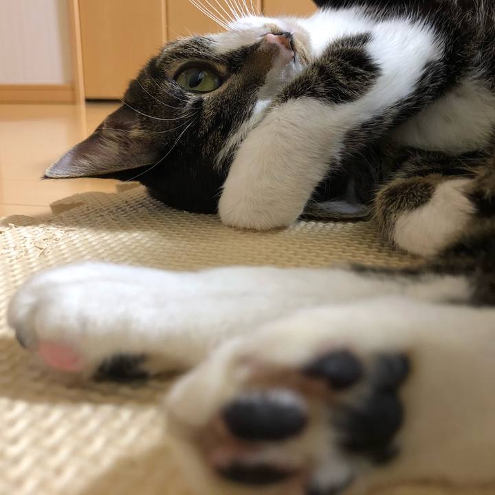 38163eeb e6e0 4573 b3f7 45ef017a5619 1515219514744