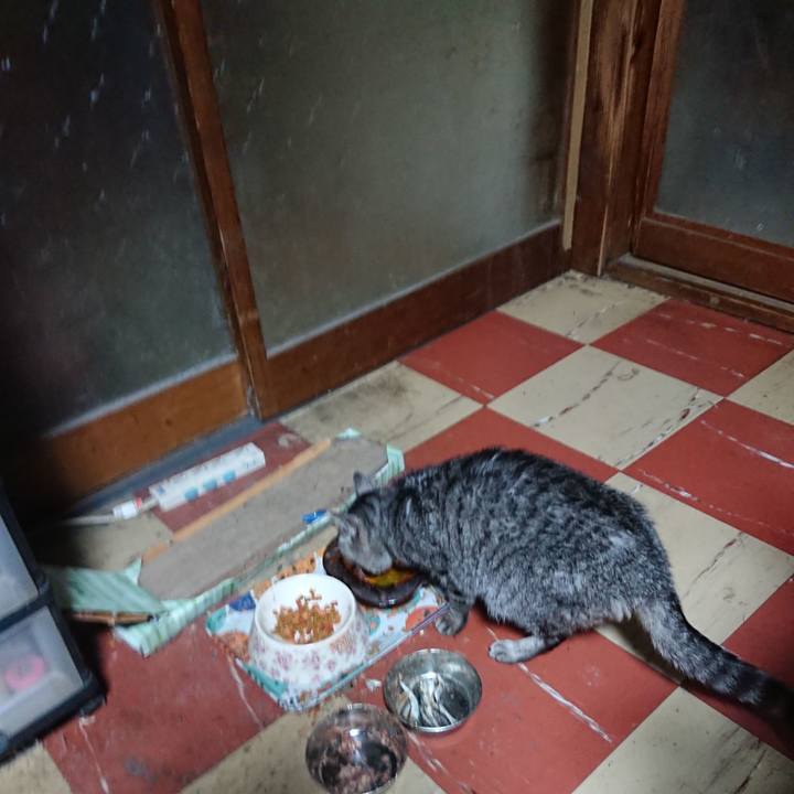 381646e8 9496 4a12 ac27 013bd2066f92 1578258147611