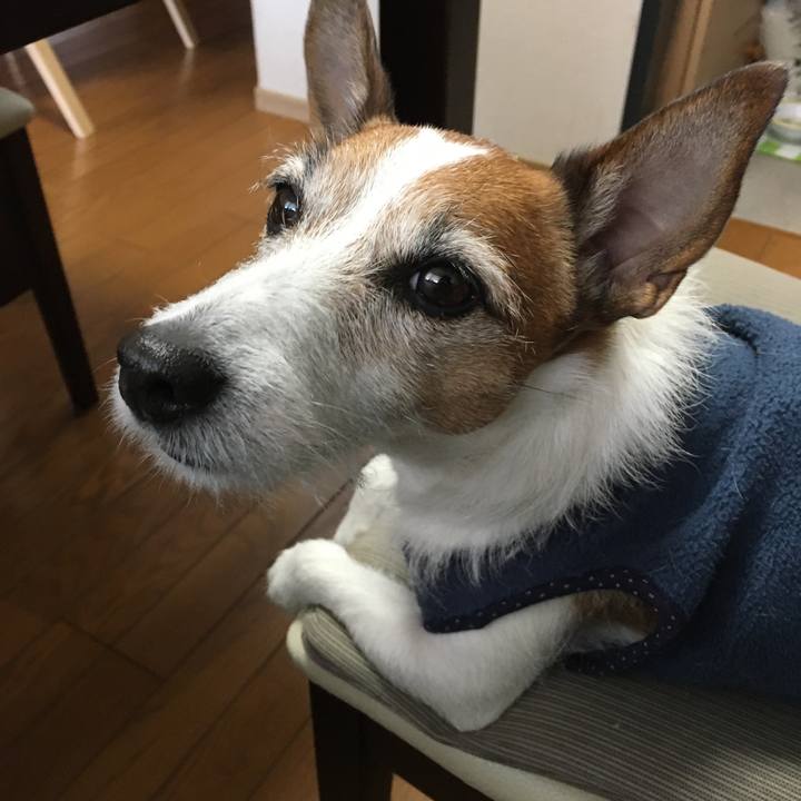 3816624e 367c 40b4 85f8 bb7803b877c0 1581723531782