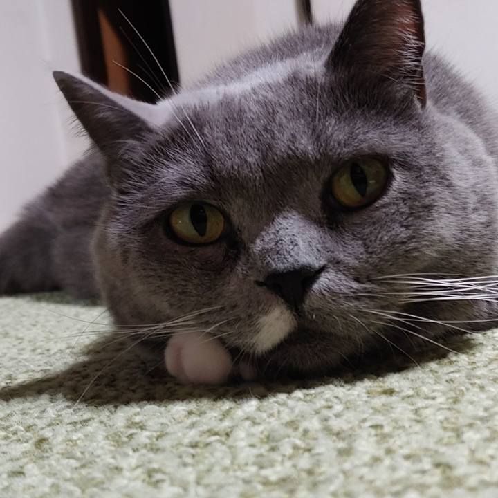 3816ac1f d826 4117 9375 52499a6f2e0a 1669466648099