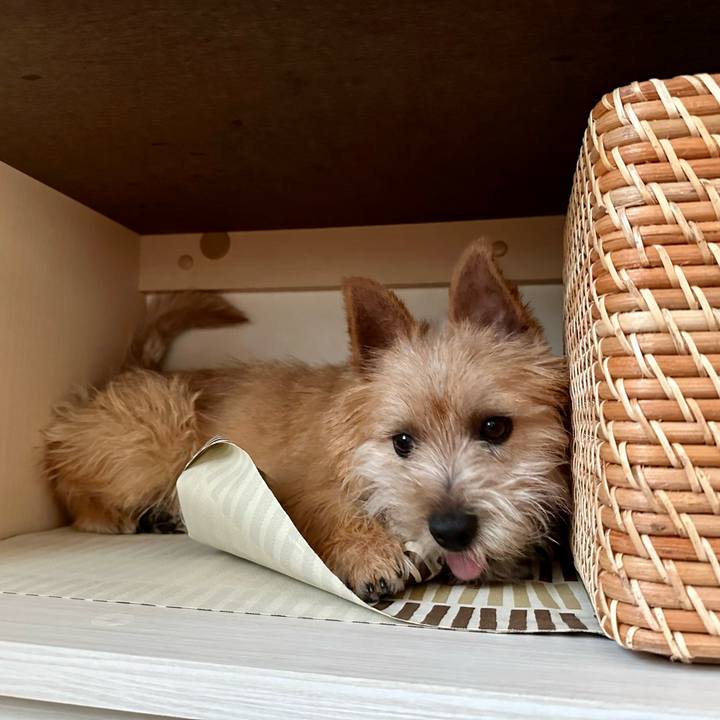 3816b03c 14b8 4567 998b 85405bfdec86 1713405612671