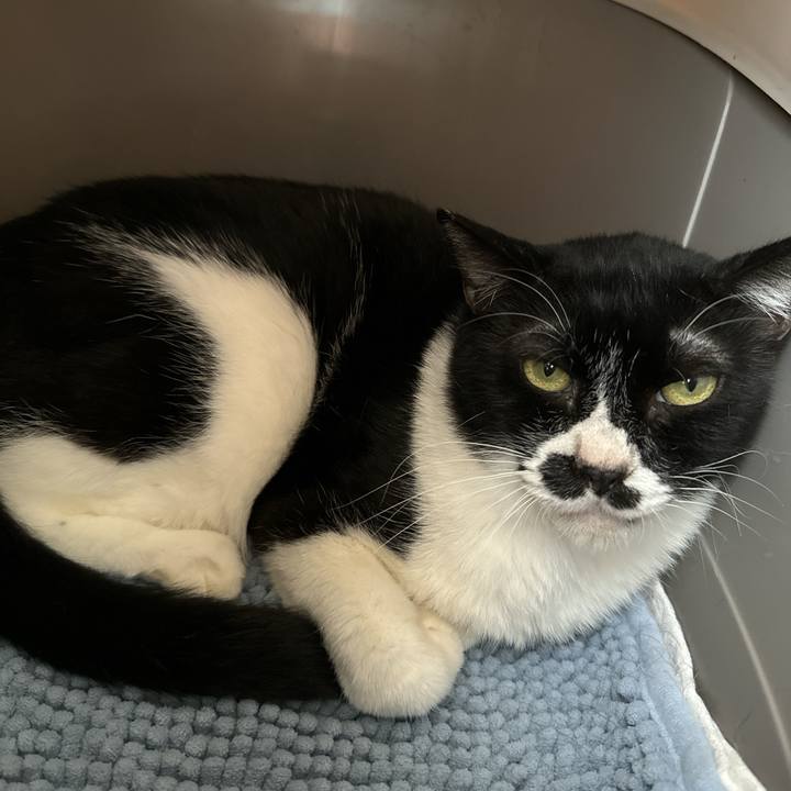 381733e0 e920 47f3 a978 03cbc51abe72 1726200330051