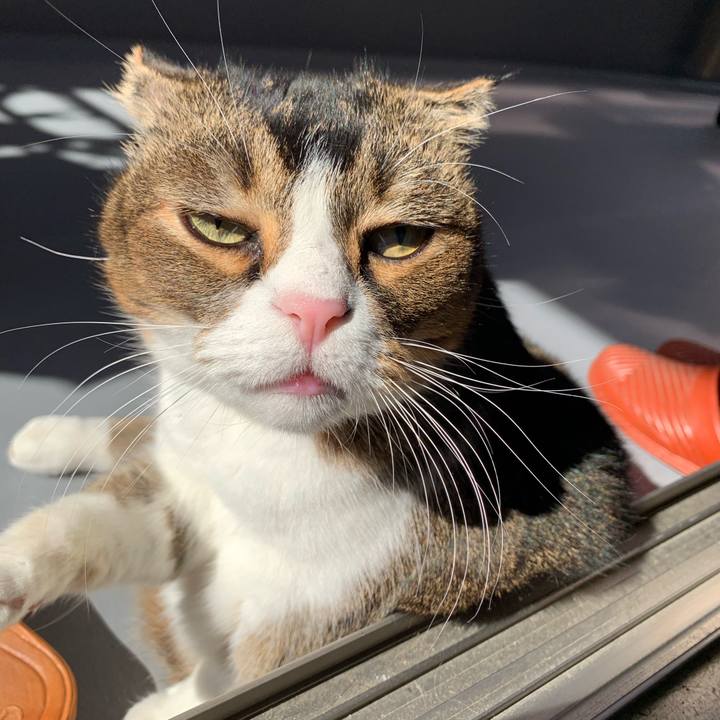 38175a82 e504 4500 b041 8ccd0ee81498 1667446825941