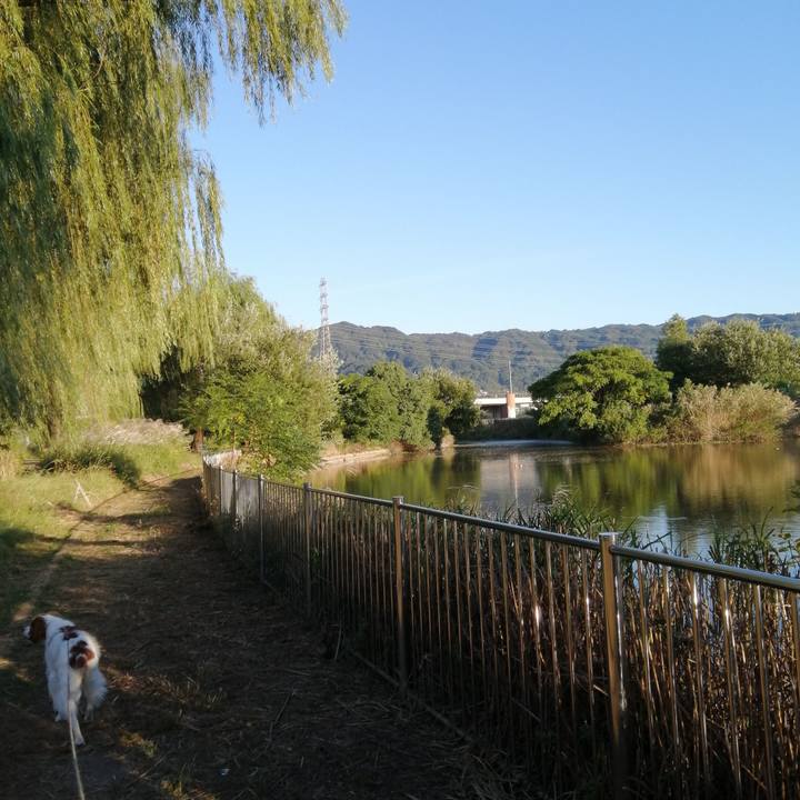 38178618 a105 4694 a11f 155f029dd2e0 1633519396500