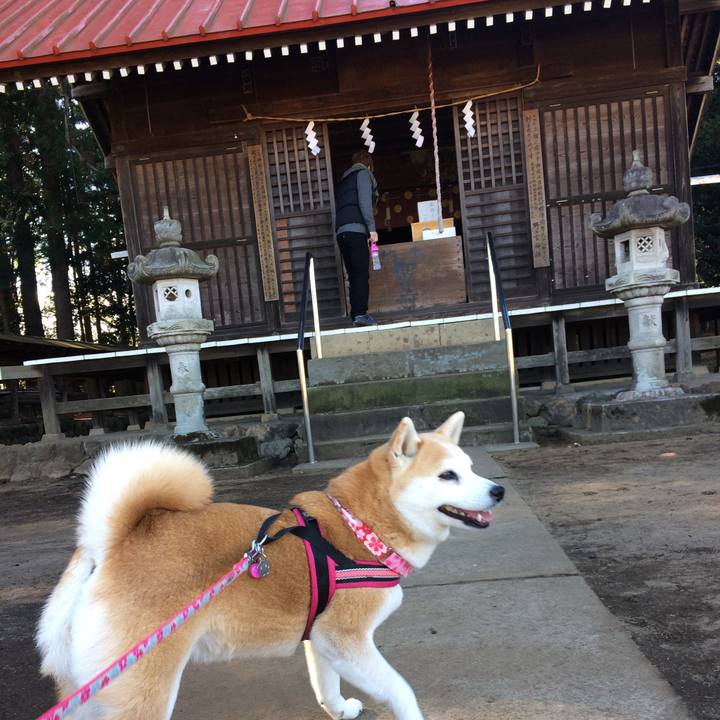 38179bef 76ba 442d 9854 bdc68b526b6b 1514857737532