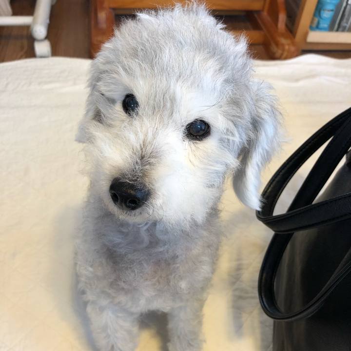 3817a8c5 fd67 4c10 bbc6 18e290183c6e 1593390151666