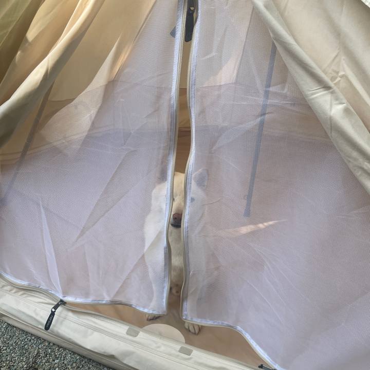 3817ebcc 045f 43d6 b455 1400888ebf77 1692492217247