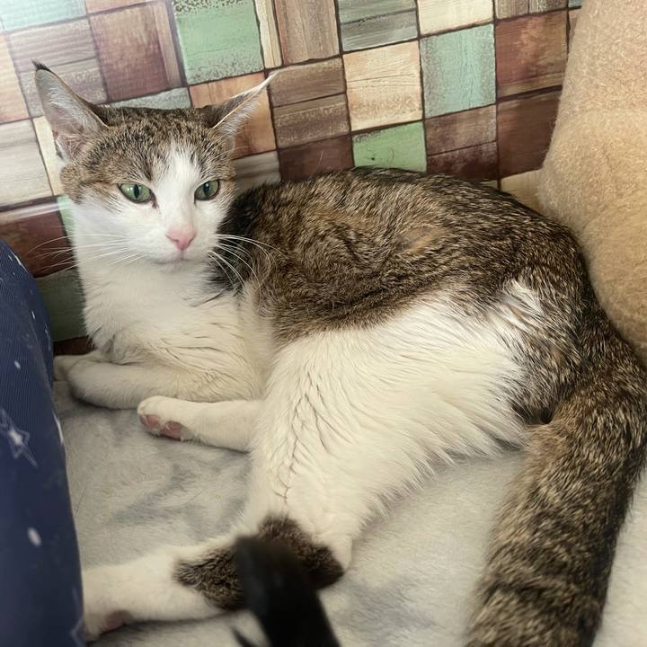 3817f338 14db 4ae2 bfe1 f6f764242e43 1640916449100