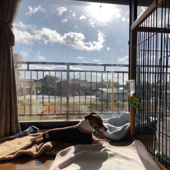 38185206 0760 4f5c ad29 72c50fb528b7 1573517231561