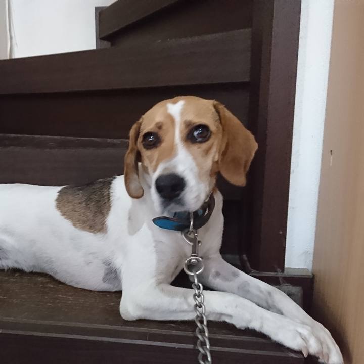 3818abfa 8d50 49db 9781 b46ffc72a834 1566967391068