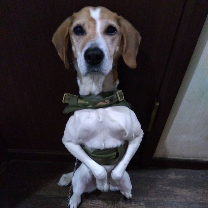 3818fb56 b7e2 4ff4 81ac 9679e412e72a 1680004725823