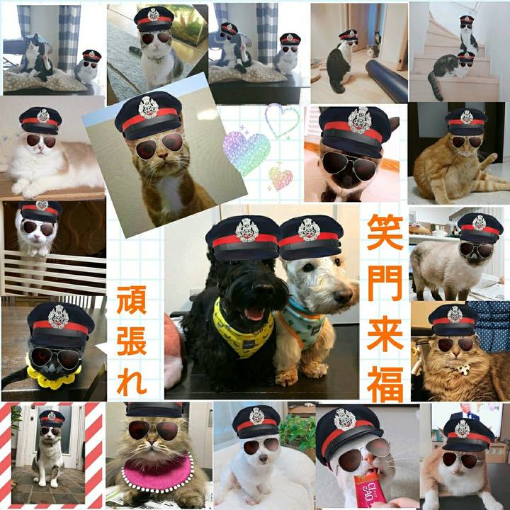 3819053b 3bc7 4262 bcec bf6955efbe36 1561894642237