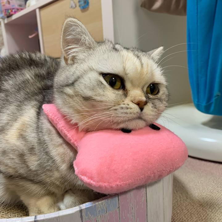 38190573 66e8 4627 9074 d2d52a5199c3 1705834469061