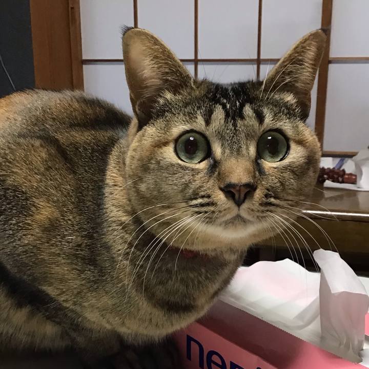 381913e9 d186 4df0 9603 064ae0fdc35e 1638051664928