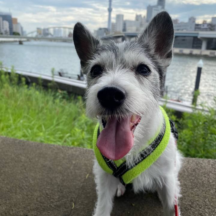 38191fe0 d2e9 47ca ac30 b85cacb3f00f 1594426233108