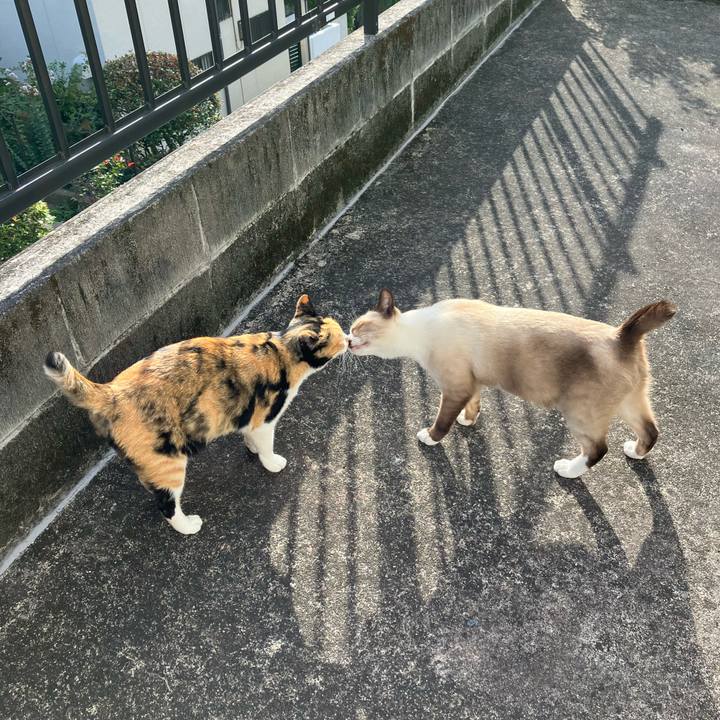 381937a2 62d9 4230 a8a8 04f0b8916763 1764110744188