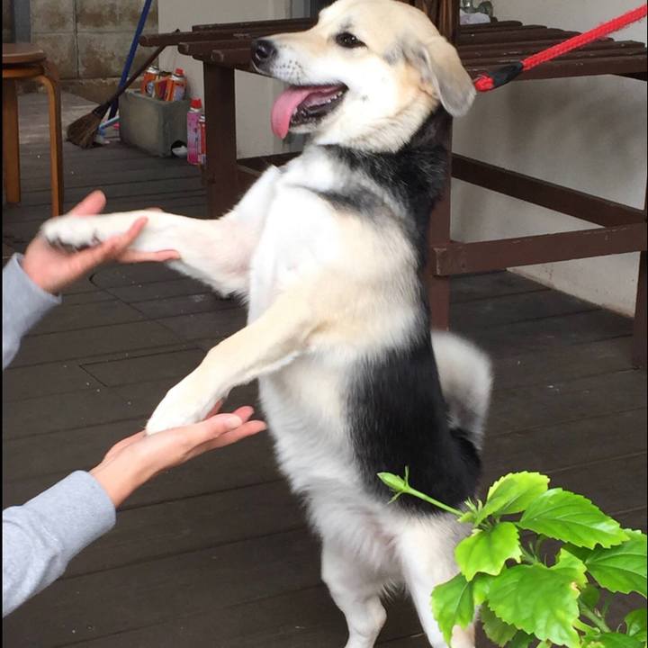 38193cdd 791a 4ac9 93ae c7b0101440a3 1611401587409