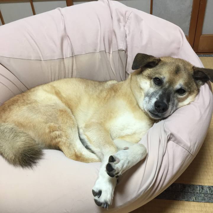 38194863 ed4c 4ff1 8ddd 29c0ad3feff9 1573645307244