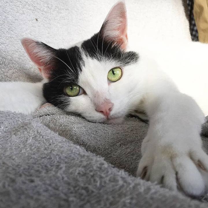 38195ddc 7b2b 41f2 82a7 5d3717d4479e 1547167590694