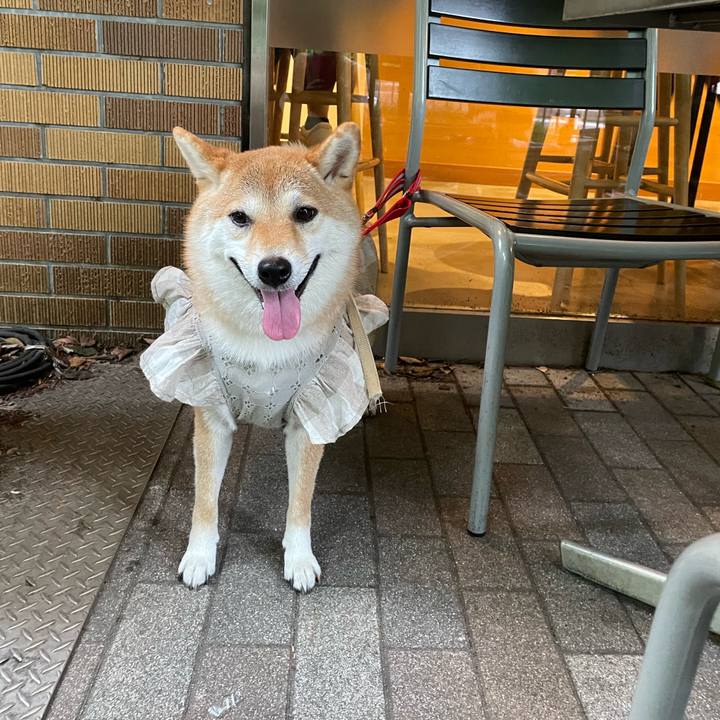 38197c17 5156 4e09 8252 27d9f03df002 1750381589111