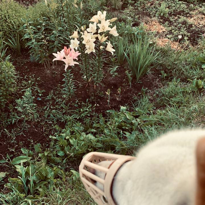 3819ca43 fbfb 4ea8 99ce 9b5cb8b76729 1563308428048