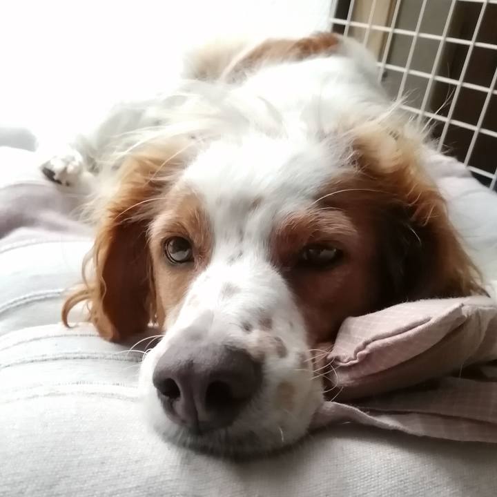 3819da88 bfe8 47e2 8527 186a1cef5384 1601964300480