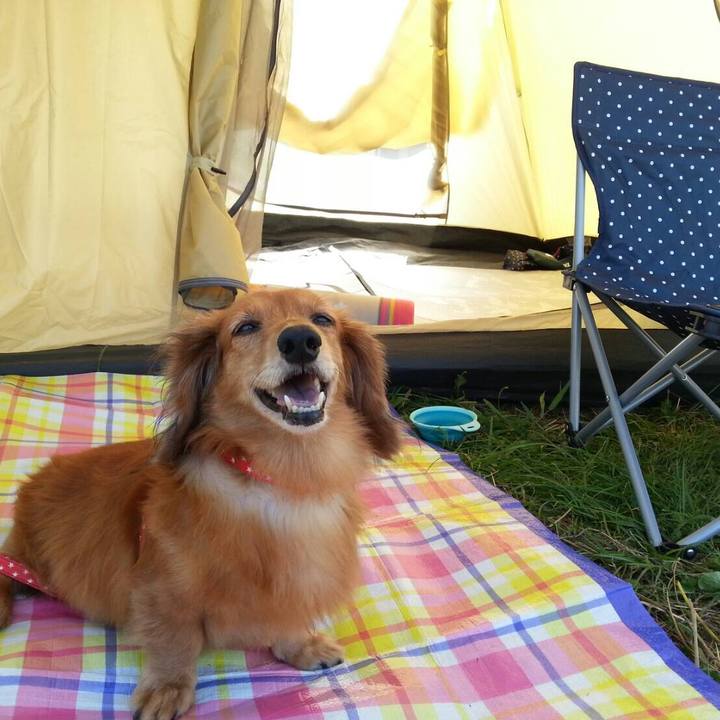 3819eeff 4a6d 47bf 83bf 3480ff7de56a 1570020222701